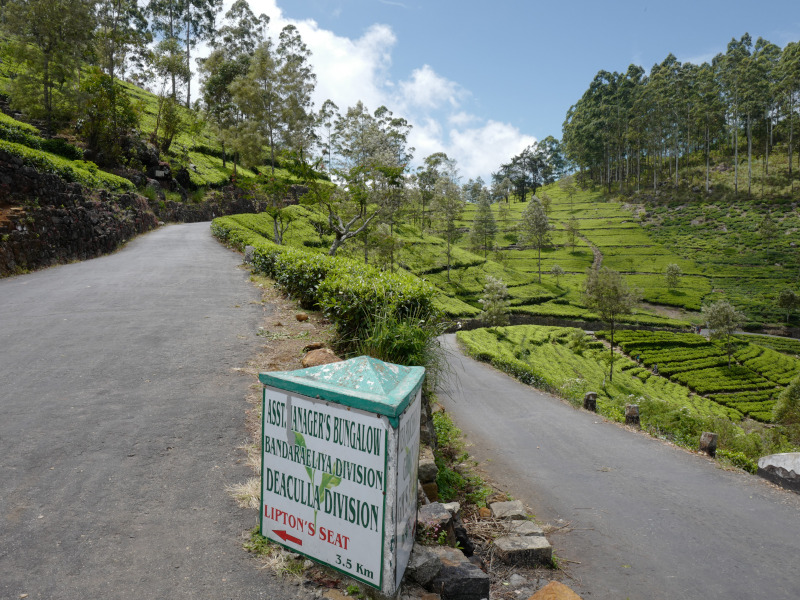 Route menant à la région de Lipton Seat au Sri Lanka