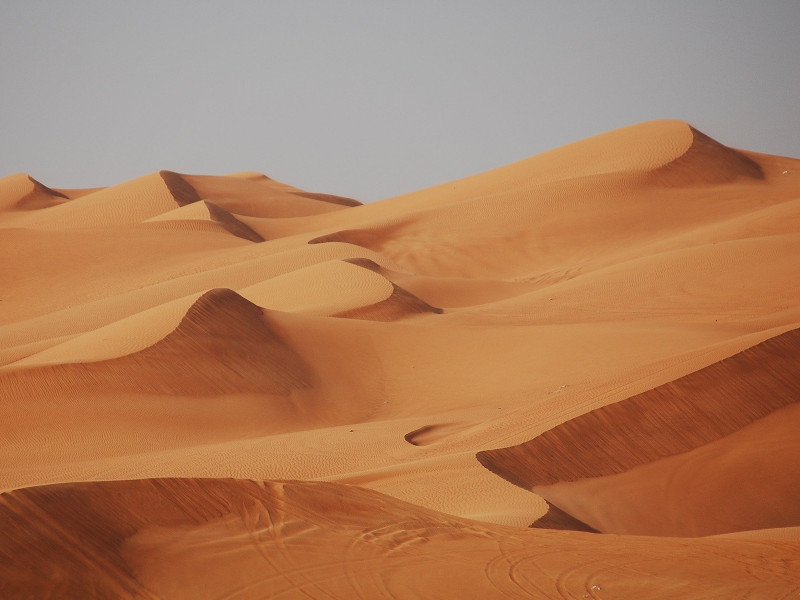 Excursion dans le désert de Dubaï