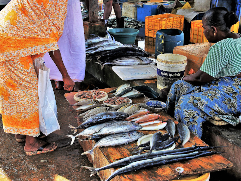 marché sri lanka -cutlets
