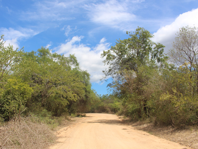 parc national de kumana